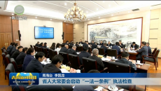 省人大常委会启动“一法一条例”执法检查