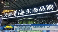“大美青海·生态品牌”亮相第12届中国（上海）国际技术进出口交易会