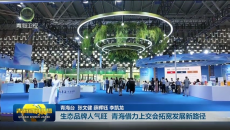 生态品牌人气旺 青海借力上交会拓宽发展新路径