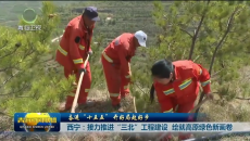 西宁：接力推进“三北”工程建设 绘就高原绿色新画卷