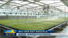 【强信心 增动能 添动力 推动高质量发展】政策赋能 青海民营经济活力持续迸发