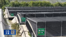 晚间播报 20260616