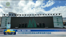 2026青海省绿色智能消费季在西宁启动
