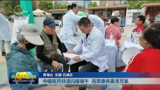 中藏医药非遗闪耀端午 高原康养惠泽万家