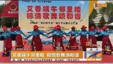 艾香端午邻里睦 粽情歌舞颂和谐