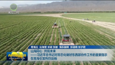 山海同心 共筑未来——习近平总书记对常态化做好东西部协作工作的重要指示在青海引发热烈反响