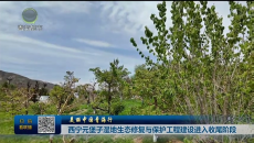 美丽中国青海行 西宁元堡子湿地生态修复与保护工程建设进入收尾阶段