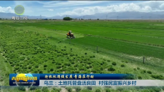 抢抓机遇促发展 青海在行动 乌兰：土地托管盘活良田 村强民富振兴乡村