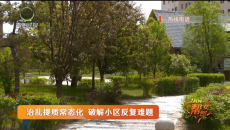 治乱提质常态化 破解小区反复难题