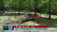 牢记嘱托 奋发有为·实干 青海：科技赋能国有林场 筑牢高原生态屏障