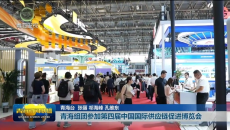 青海组团参加第四届中国国际供应链促进博览会