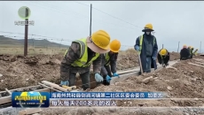 共和县：以工代赈拓新路 就地务工助民富
