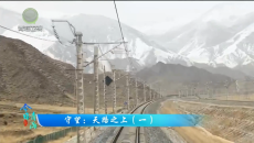 今日青海 20260623 守望：天路之上（一）