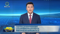 习近平在山东德州考察时强调 以扎实举措推进农业农村现代化 用勤劳和智慧创造更加美好生活