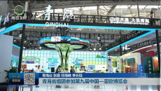 青海省组团参加第九届中国一亚欧博览会