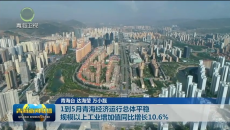 1到5月青海经济运行总体平稳 规模以上工业增加值同比增长10.6%