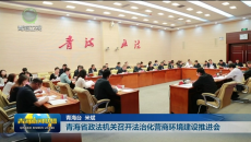 青海省政法机关召开法治化营商环境建设推进会