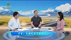 今日青海 20260624 守望：天路之上（二）