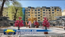青海省开局起步“十五五”西宁专场新闻发布会召开