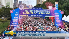 2026西宁半程马拉松激情开跑