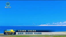 【大美短视频·这就是青海】金银滩：草原牧歌 风光旖旎