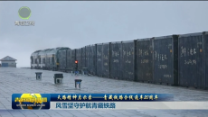 天路精神启示录——青藏铁路全线通车20周年 风雪坚守护航青藏铁路