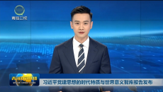习近平党建思想的时代特质与世界意义智库报告发布