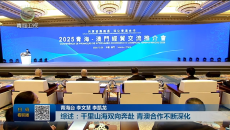 综述：千里山海双向奔赴 青澳合作不断深化