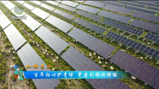 今日青海 20260701 百年初心护青绿 党建引领兴绿能