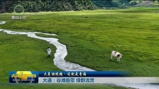 【大美短视频·这就是青海】大通：谷滩叠翠 绿野流芳