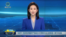 习近平《在庆祝中国共产党成立105周年大会上的讲话》单行本出版