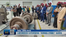 以路为媒促交流 以才为桥谋共赢“非洲铁路人才青藏行”走进青海