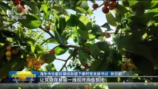 青春扎根青海大地 实干书写青年担当