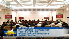 西宁—海东都市圈一体化发展座谈会召开 一盘棋一条心一家亲一股劲 建成富有活力创新力影响力的现代化都市圈 吴晓军讲话 罗东川主持