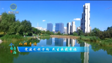 今日青海 20260709 党建引领方向 民生承载幸福