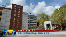 【牢记嘱托 奋发有为·实干】青海：政策赋能添动力 民间投资增活力