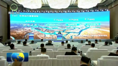 第27届青洽会投资说明会暨重大合作项目签约仪式举行 罗东川出席并作推介