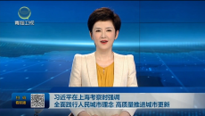 习近平在上海考察时强调 全面践行人民城市理念 高质量推进城市更新