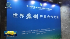 构筑世界级盐湖产业发展新格局