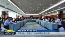 全国企业“青海行”赋能高原农畜产业