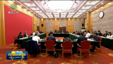 全国人大常委会副委员长雪克来提·扎克尔率调研组来青开展专题调研 吴晓军主持座谈会
