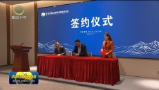 第27届青洽会地毯产业经贸合作座谈会举办