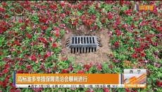 高标准多举措保障青洽会顺利进行