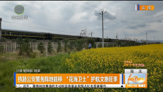 铁路公安警务阵地前移“花海卫士”护航文旅旺季