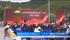 2026年全国文化科技卫生“三下乡”集中示范活动举行