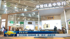 【聚焦青洽会】方寸天地 经纬纵横 用“多元”连接世界