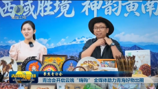 【聚焦青洽会】青洽会开启云端“嗨购” 全媒体助力青海好物出圈