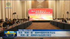 传承“两弹一星”精神中国青年英才论坛“两弹一星”精神研讨会在西宁举行