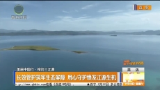 长效管护筑牢生态屏障 用心守护焕发江源生机