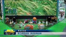 聚力绿色优势 激活发展动能